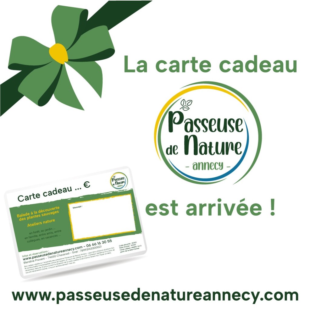 Carte cadeau Passeuse de Nature : un cadeau éthique et local